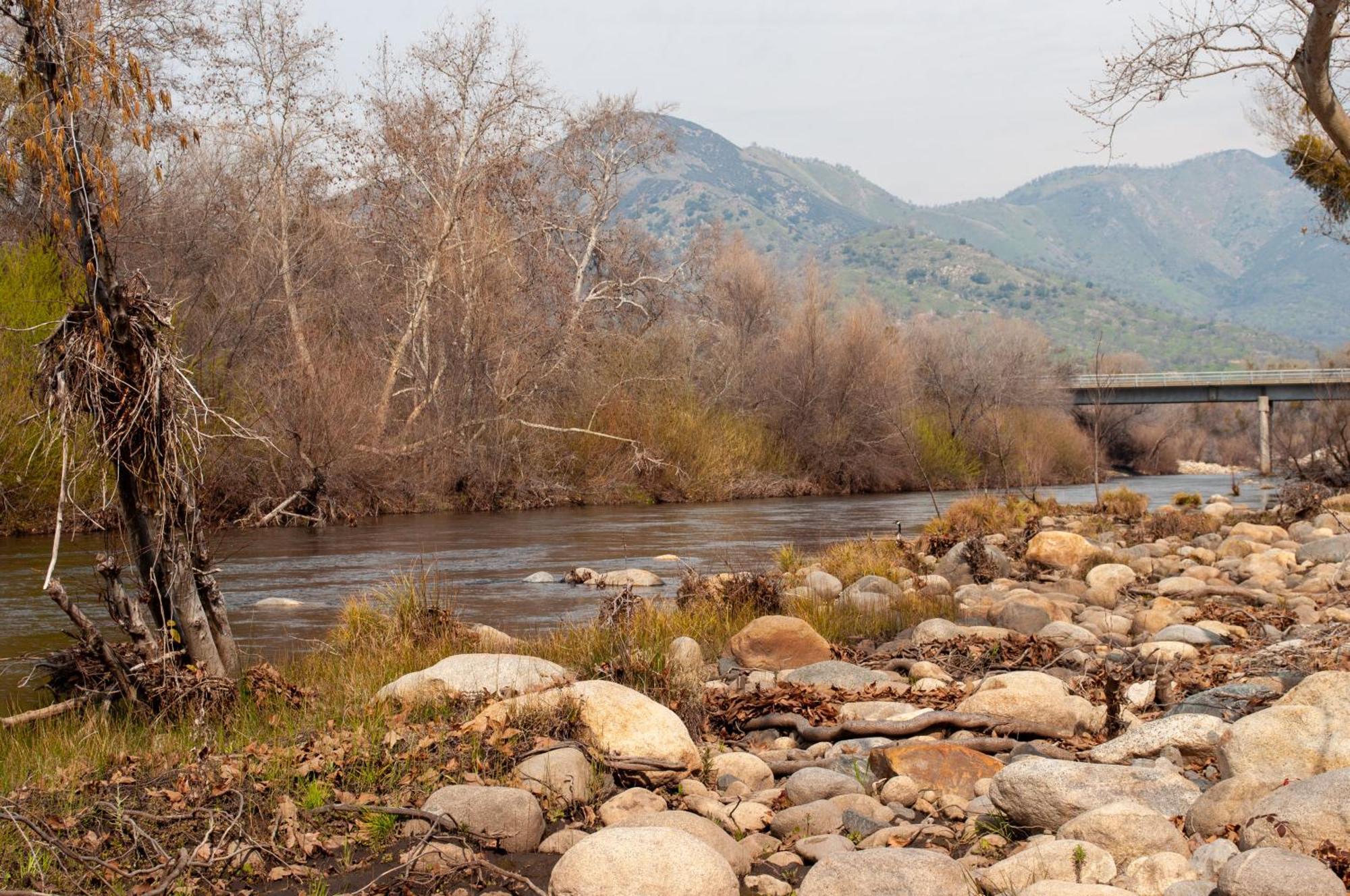 Sequoia River Front Cabins Three Rivers Exteriör bild