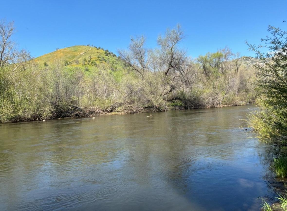 Sequoia River Front Cabins Three Rivers Exteriör bild