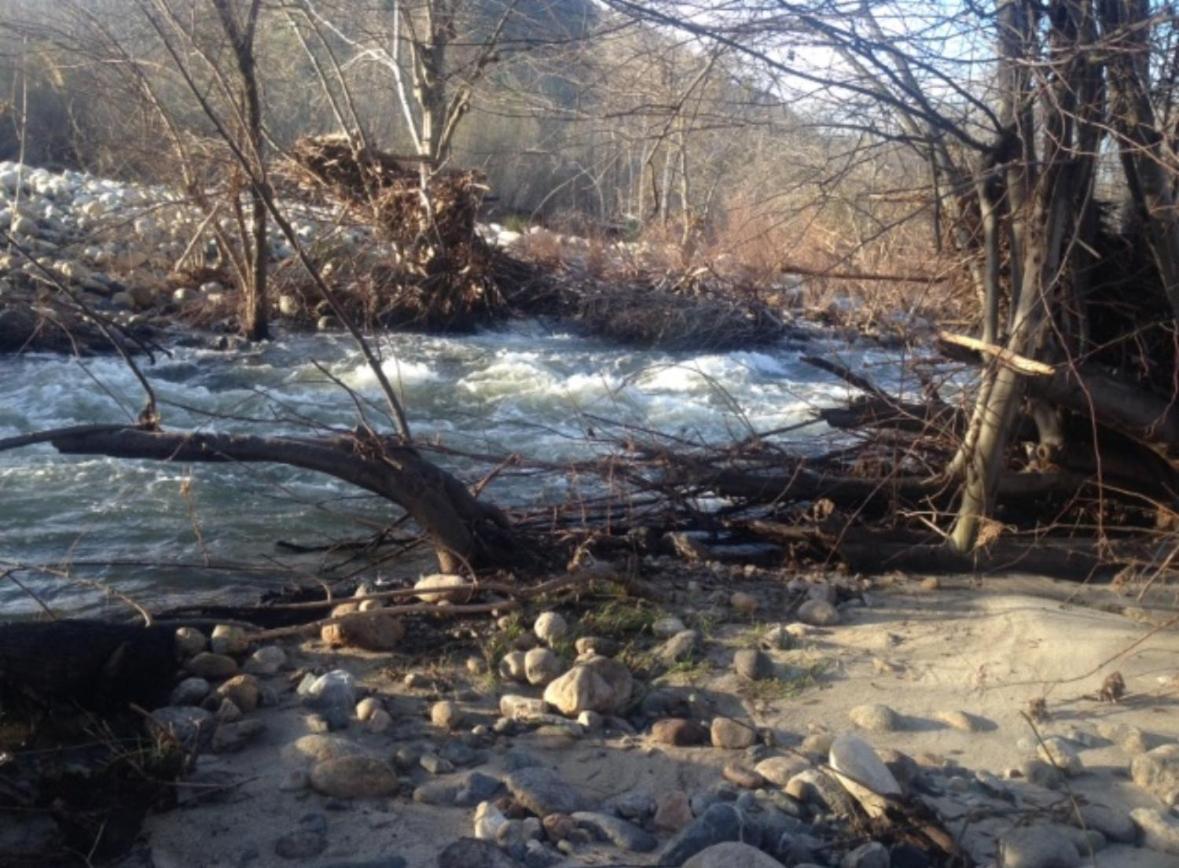 Sequoia River Front Cabins Three Rivers Exteriör bild