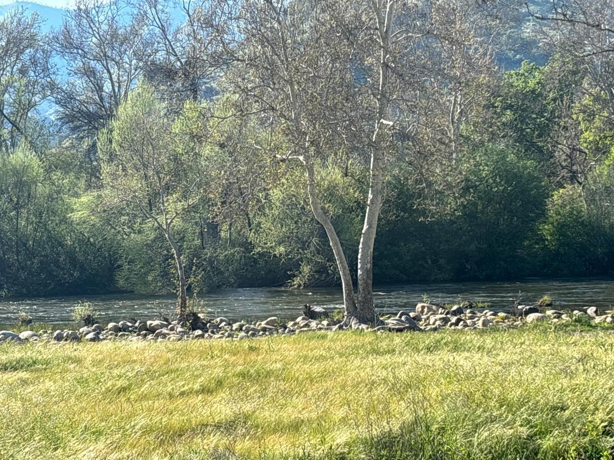 Sequoia River Front Cabins Three Rivers Exteriör bild
