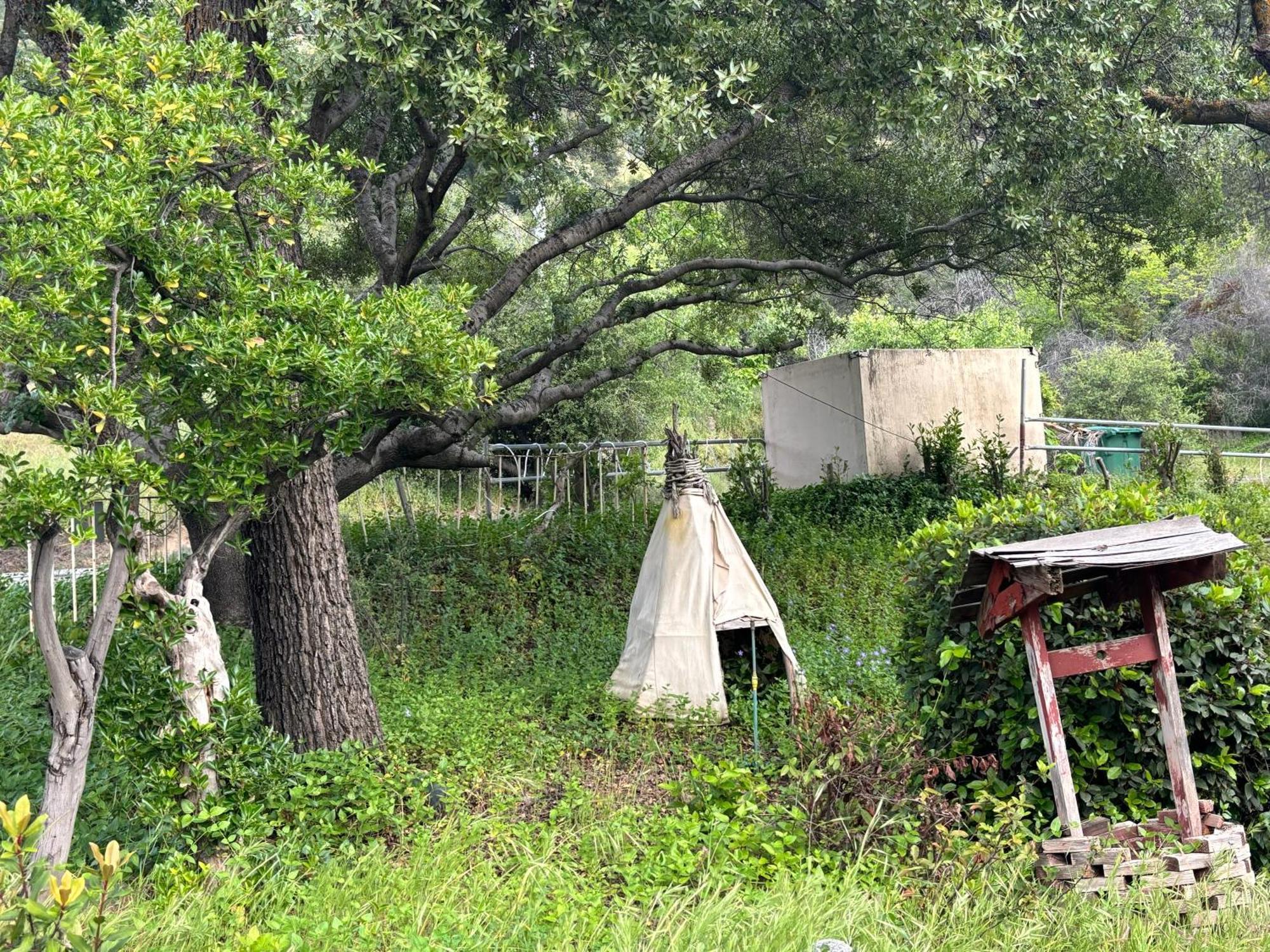 Sequoia River Front Cabins Three Rivers Exteriör bild