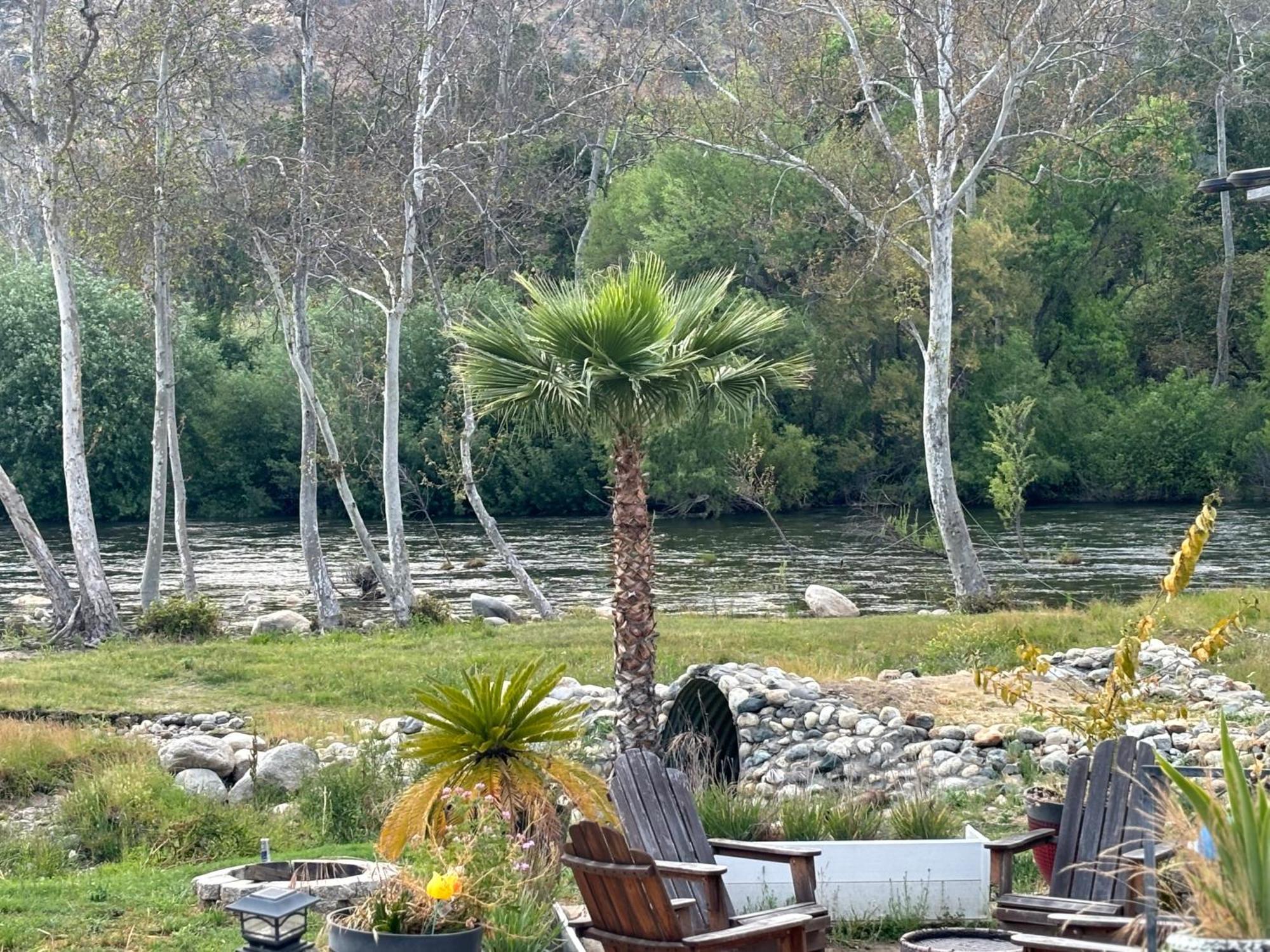 Sequoia River Front Cabins Three Rivers Exteriör bild